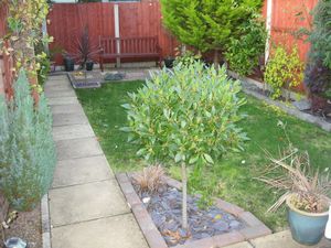 Rear Garden- click for photo gallery